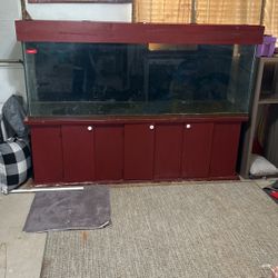 150 Gallon Fish Tank With Filter 