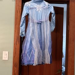 Elsa dress And Shoes 