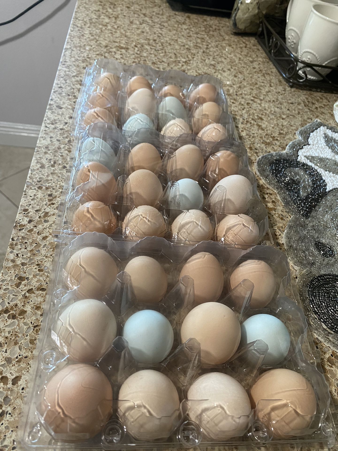 Fresh eggs/ Huevos