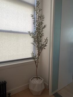 Faux Olive Tree