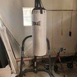 Everlast Punching Bag And Stand