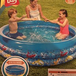 Toddler/kiddie Pool