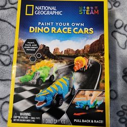 Paint Your Own Dino Race Cars