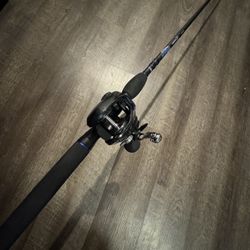 Inshore Style New Daiwa Lexa  300 Dobyns  Champion Rod. 