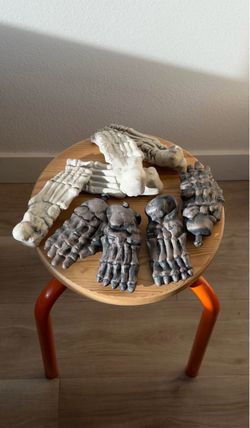Decorative Halloween Skeleton Feet Assortment