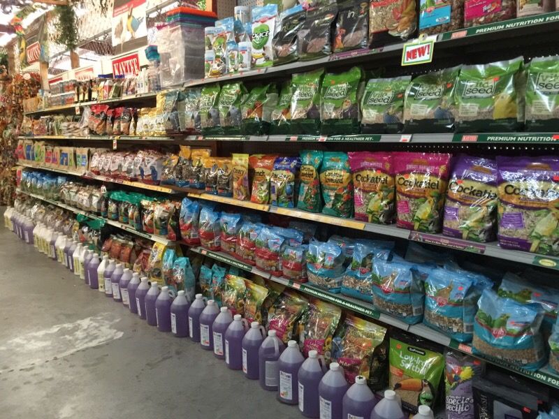 Bird food