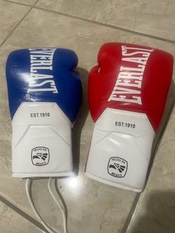 Everlast 16oz