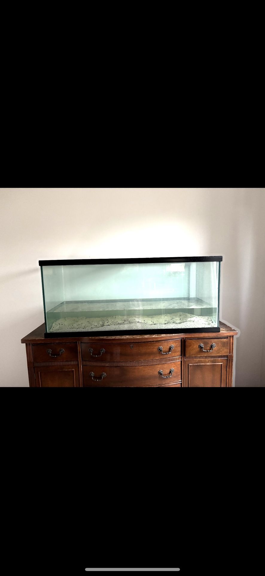 75 Gallon Aquarium