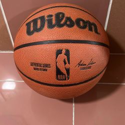 Wilson Basketball