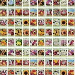 Diverse Pack 1000 Flower Seeds Ideal Outdoor Gardens 25 Varieties  Summer Mix