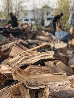 Firewood