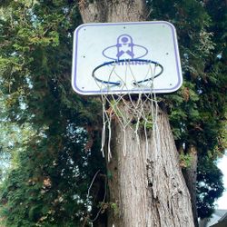 Mini Basketball Hoop
