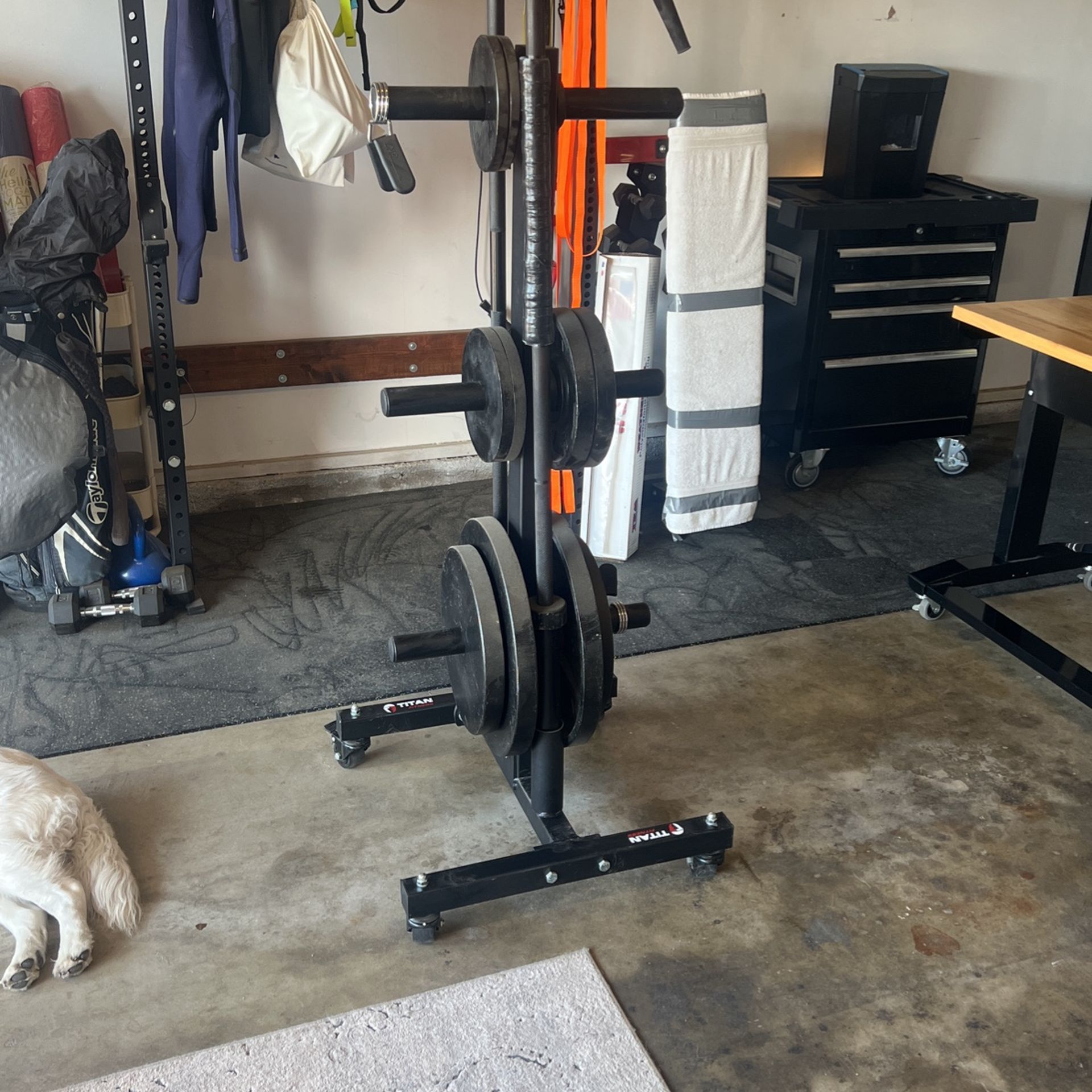Weight Set And Roller Storage Tree