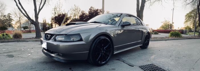 2002 Ford Mustang