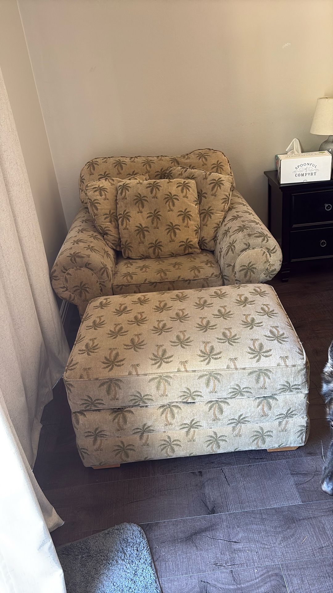 Chair And Ottoman - FREE
