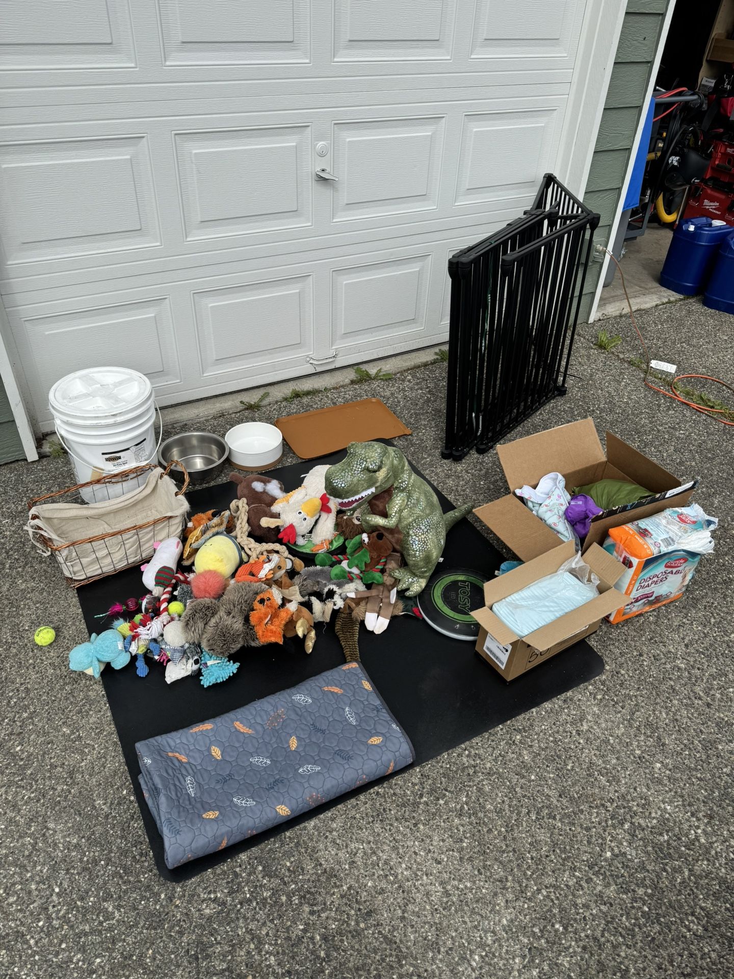 Free Dog Stuff (must Take Everything),