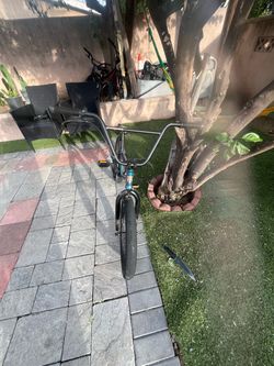 BMX mongoose