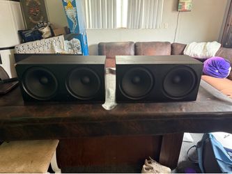 Steinway & Sons Subwoofer