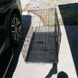 Large Dog 🐕 Crate 