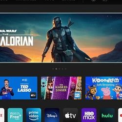 Vizio TV 