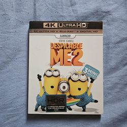 Despicable Me 2 Movie 4K