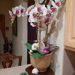 Silk White And Pink Orchid Plant