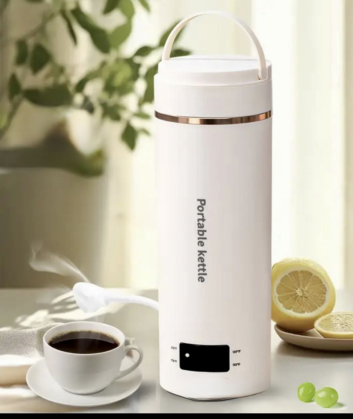 Travel Electric Kettle Portable Small MinKettle Water Boiler, Water Heater with 4 Temperature Controls, 304 Stainless Steel with Auto Shut Off & Boil