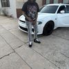 Kylan King
