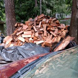 Firewood 