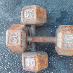 30 Pounds Dumbbells