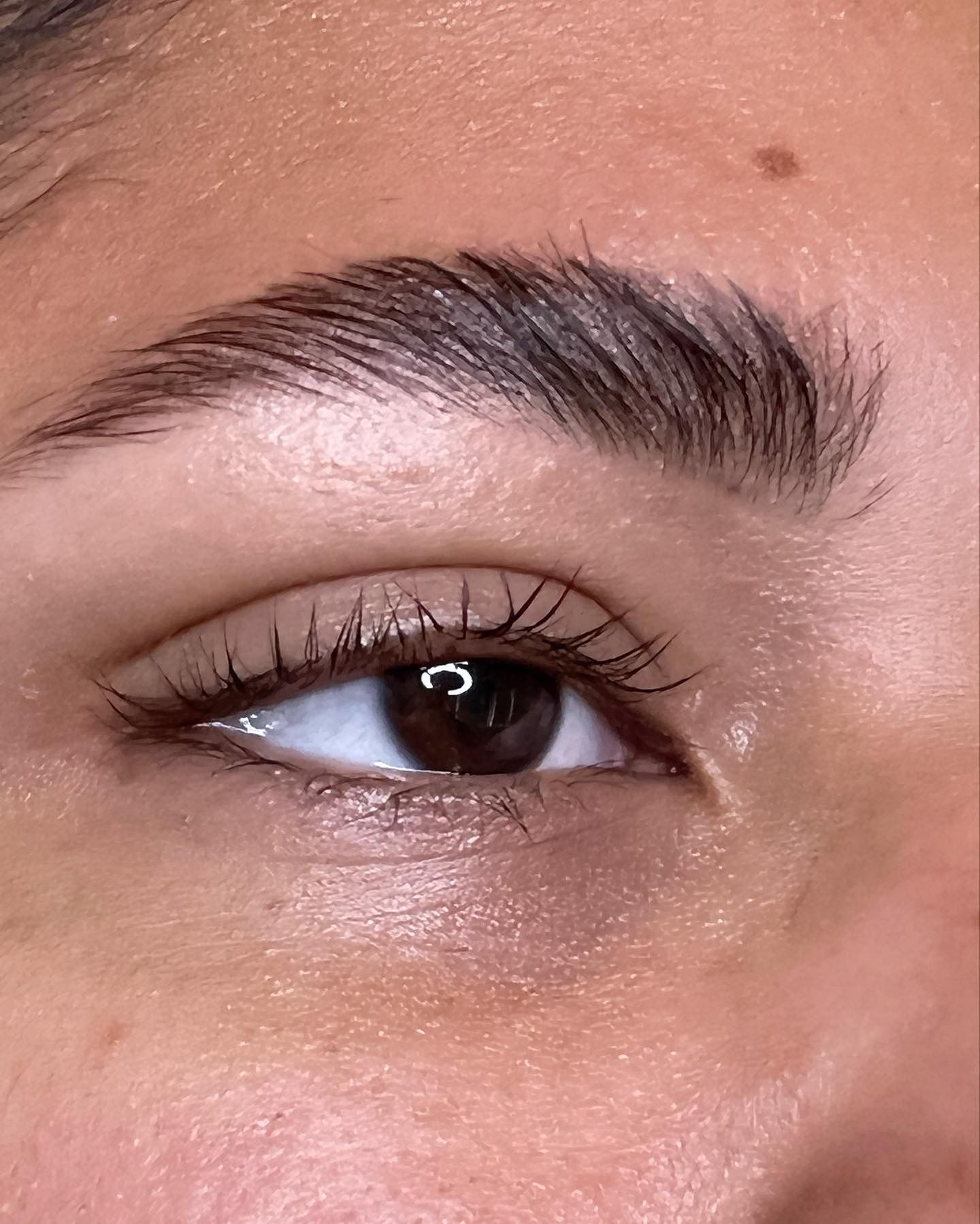 Brow Lamination