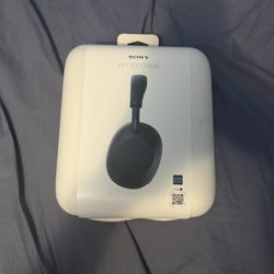Sony XM6 
