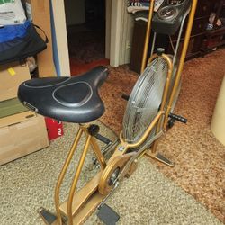 Schwinn Air-Dyne Exercise Bike