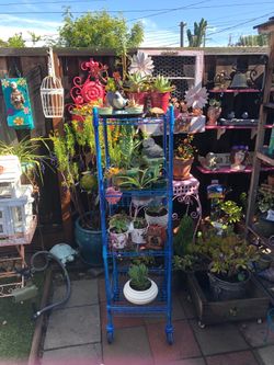 PLANT STAND