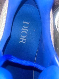 Dior b22