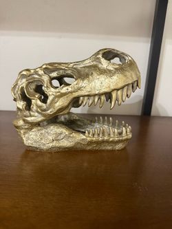 Dino Skull
