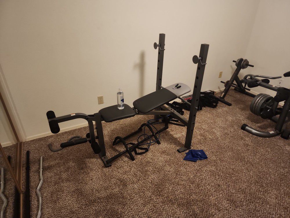 Work Out Bench /Press Bench 