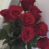 Jasmin  