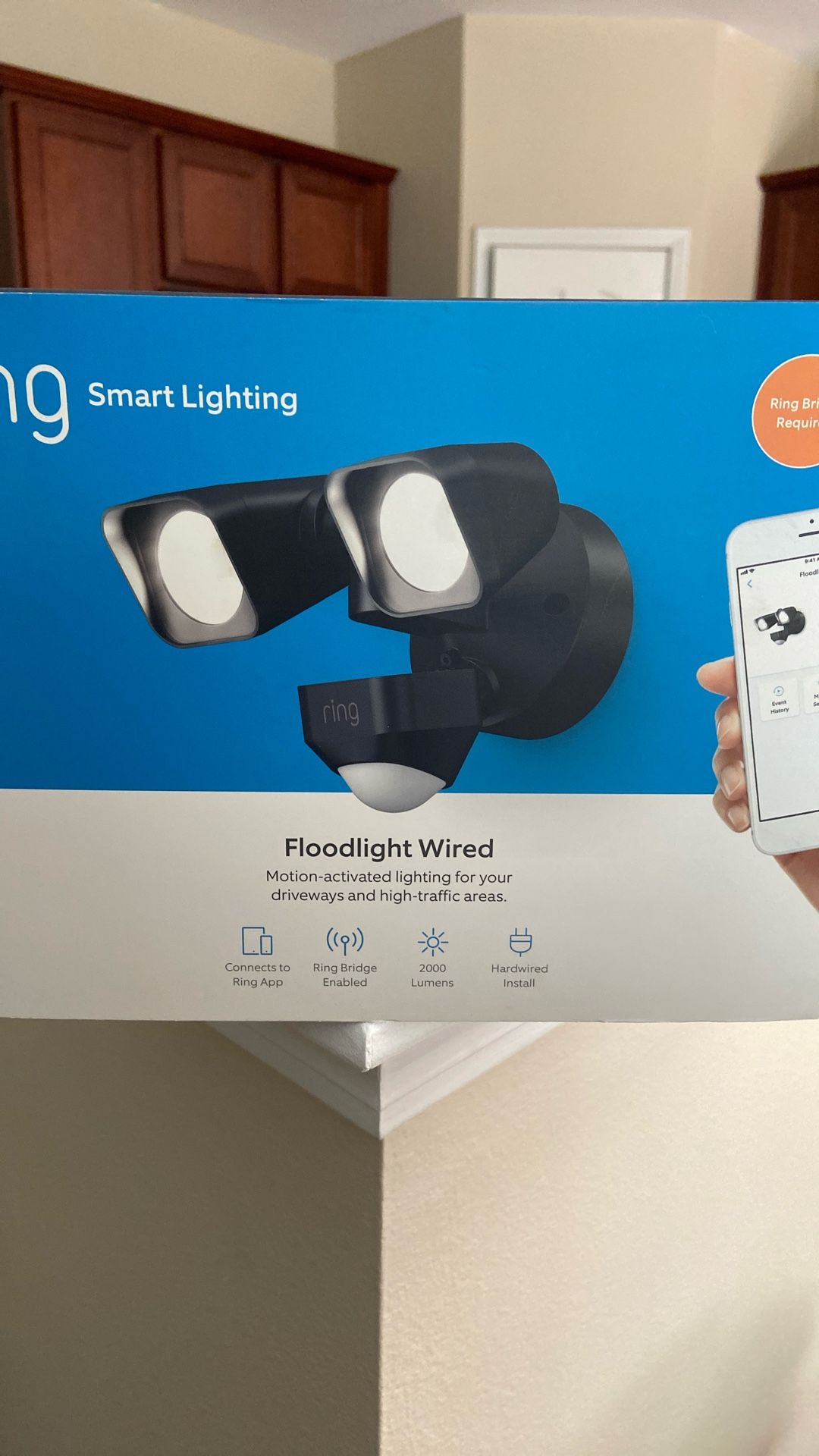 Ring Floodlight Wired