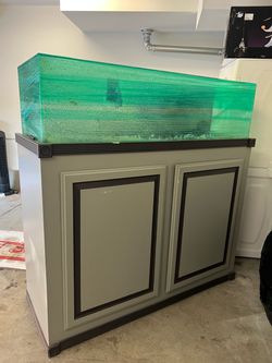 Free 5’ acrylic fish tank and stand