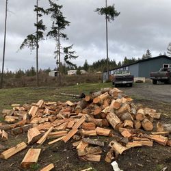 Firewood