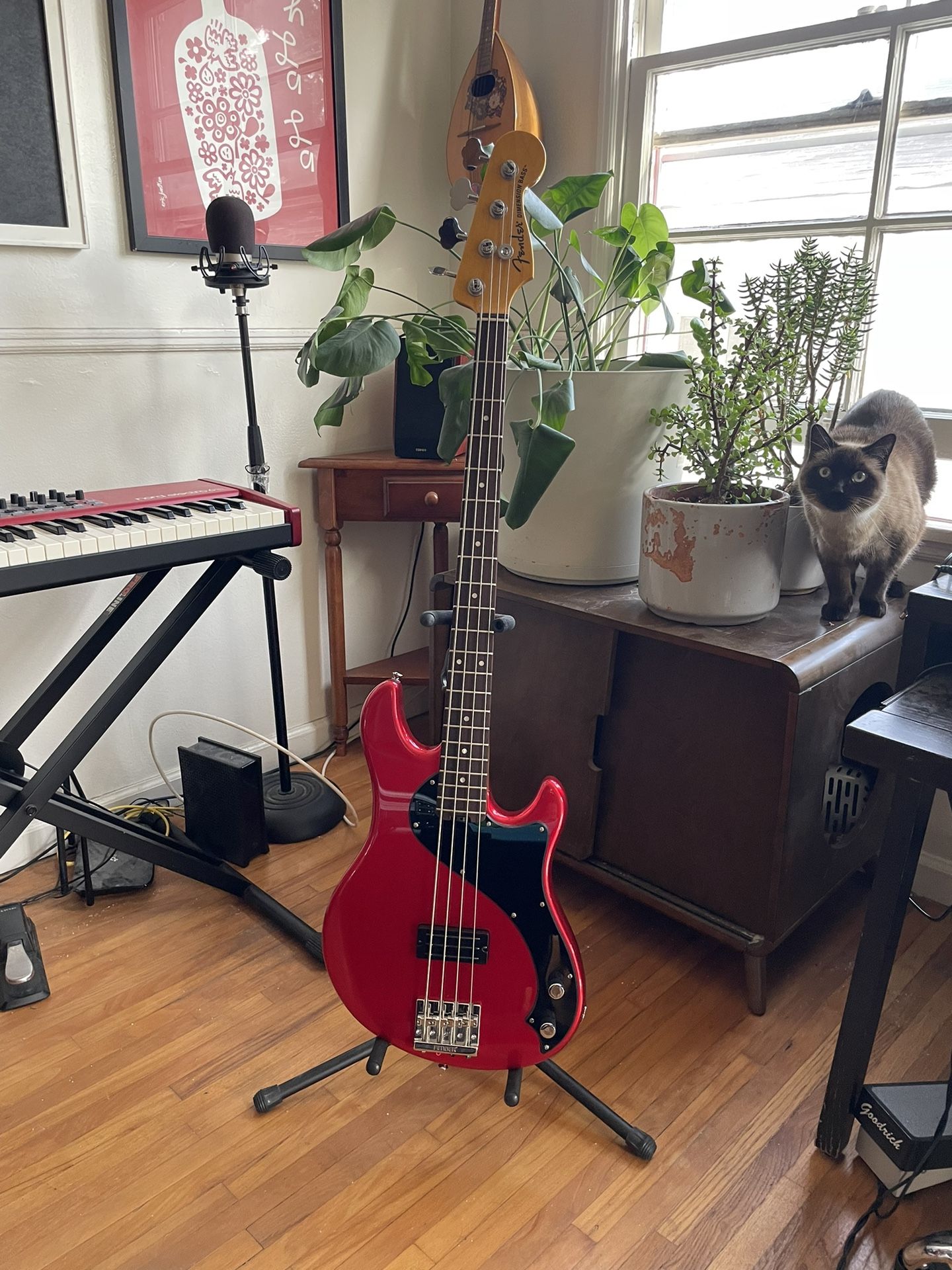 Fender Dimension Modern Player Bass