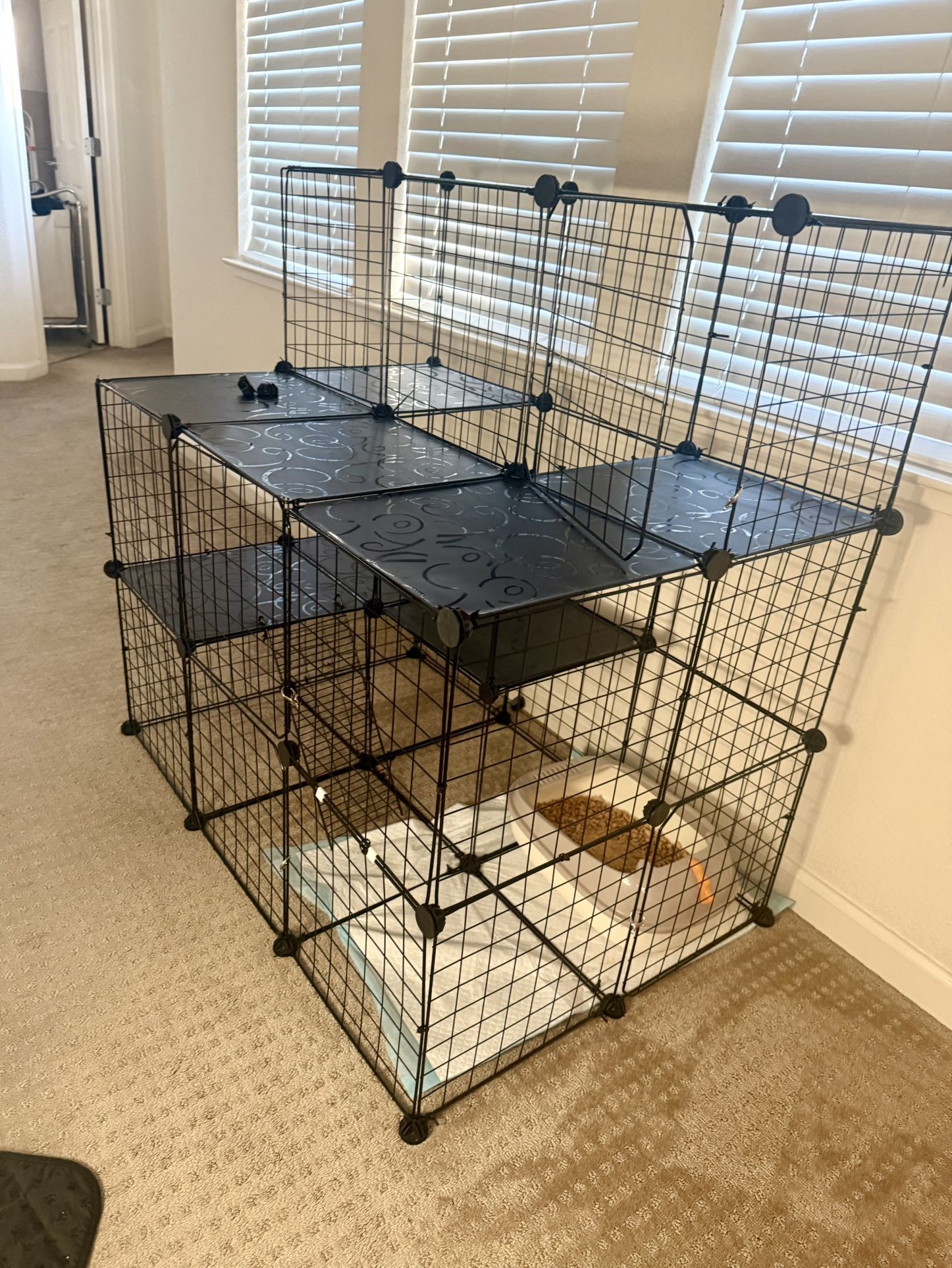 Cat Enclosure