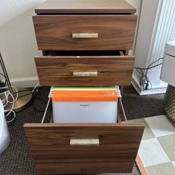 File Cabinet With File Folders