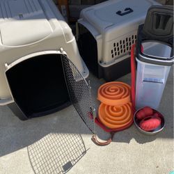 Dog Care Items