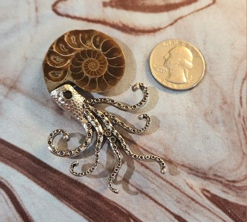 Genuine Prehistoric Mini Nautilus Pin/Pendant
