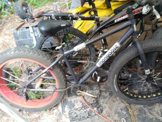 Fat tire bike