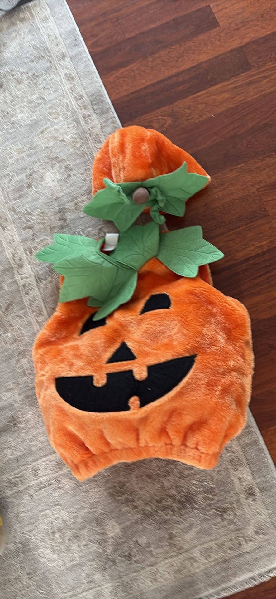 Pumpkin Custome