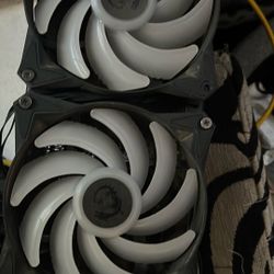 Main Fans 