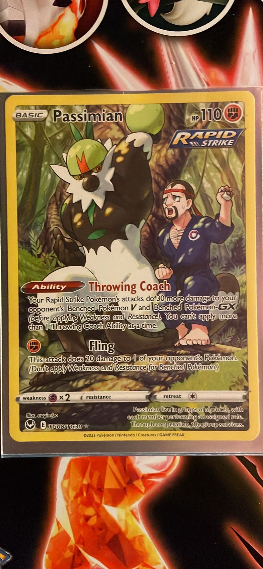 Pokémon Cards